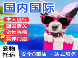 黄花航空托运国际宠物托运 【国